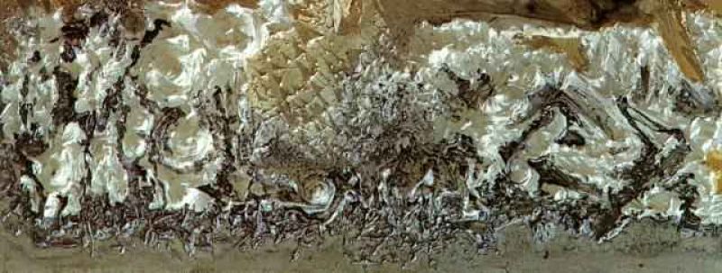 1963_10_arabs - the death of raimundus lullus 1963.jpg